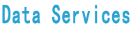 Data Services-Building an intelligent future